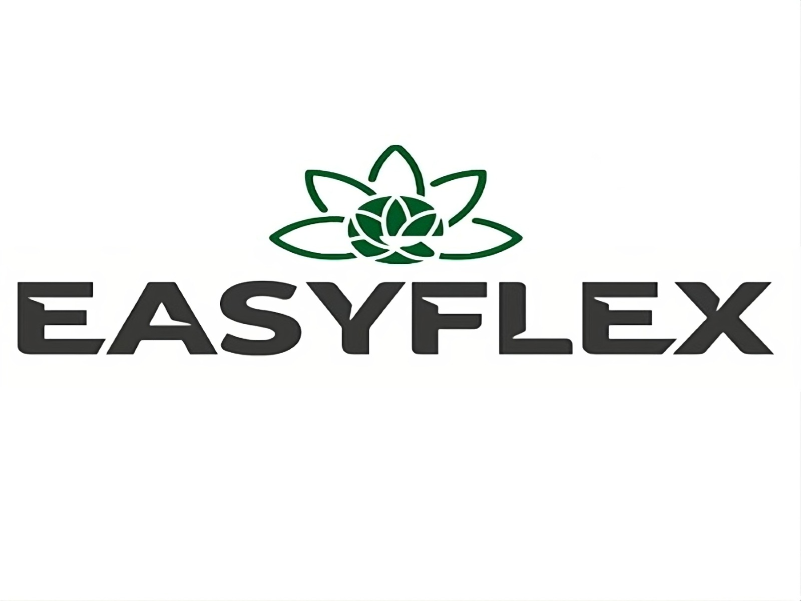 Easyflex Logo